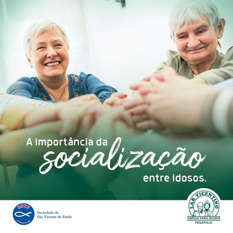 Noticia a-importancia-da-socializacao